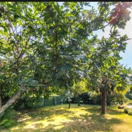 Indipendente Shabby House Dom wakacyjny *