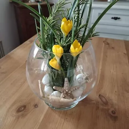 Indipendente Shabby House * Buia