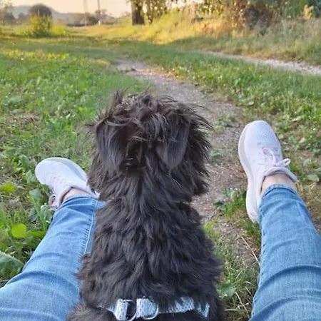 Indipendente Shabby House * Buia