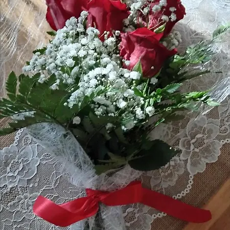 Dom wakacyjny Indipendente Shabby House